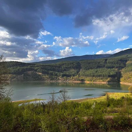 Zavojsko Jezero - Vila Jezero Pirot Eksteriør bilde