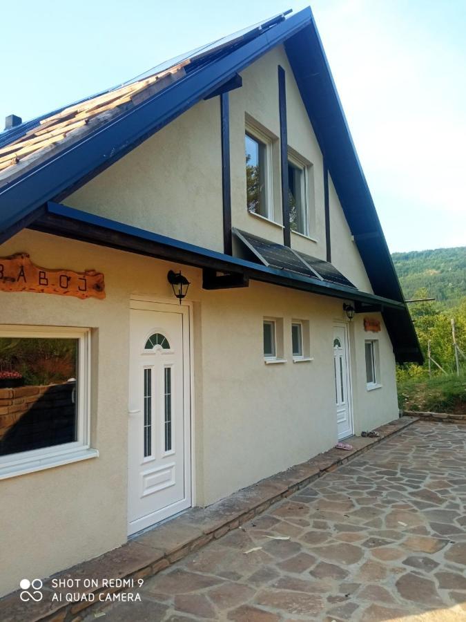 Zavojsko Jezero - Vila Jezero Pirot Eksteriør bilde