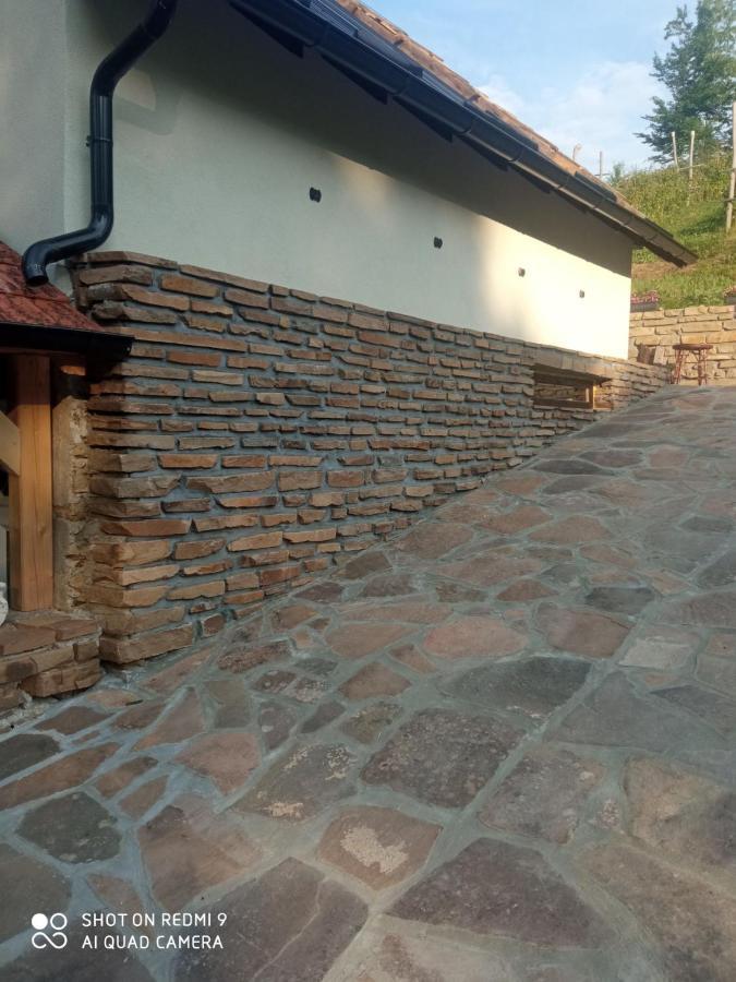 Zavojsko Jezero - Vila Jezero Pirot Eksteriør bilde