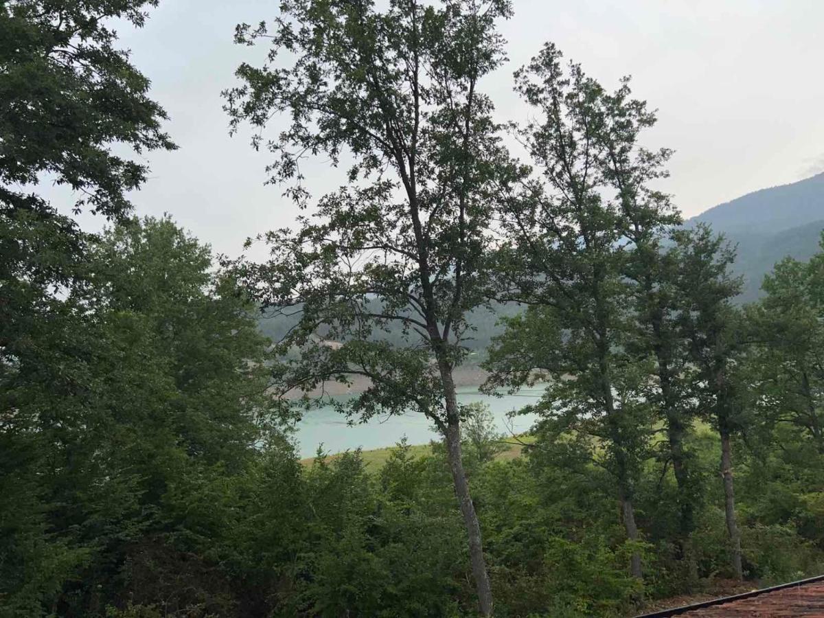 Zavojsko Jezero - Vila Jezero Pirot Eksteriør bilde